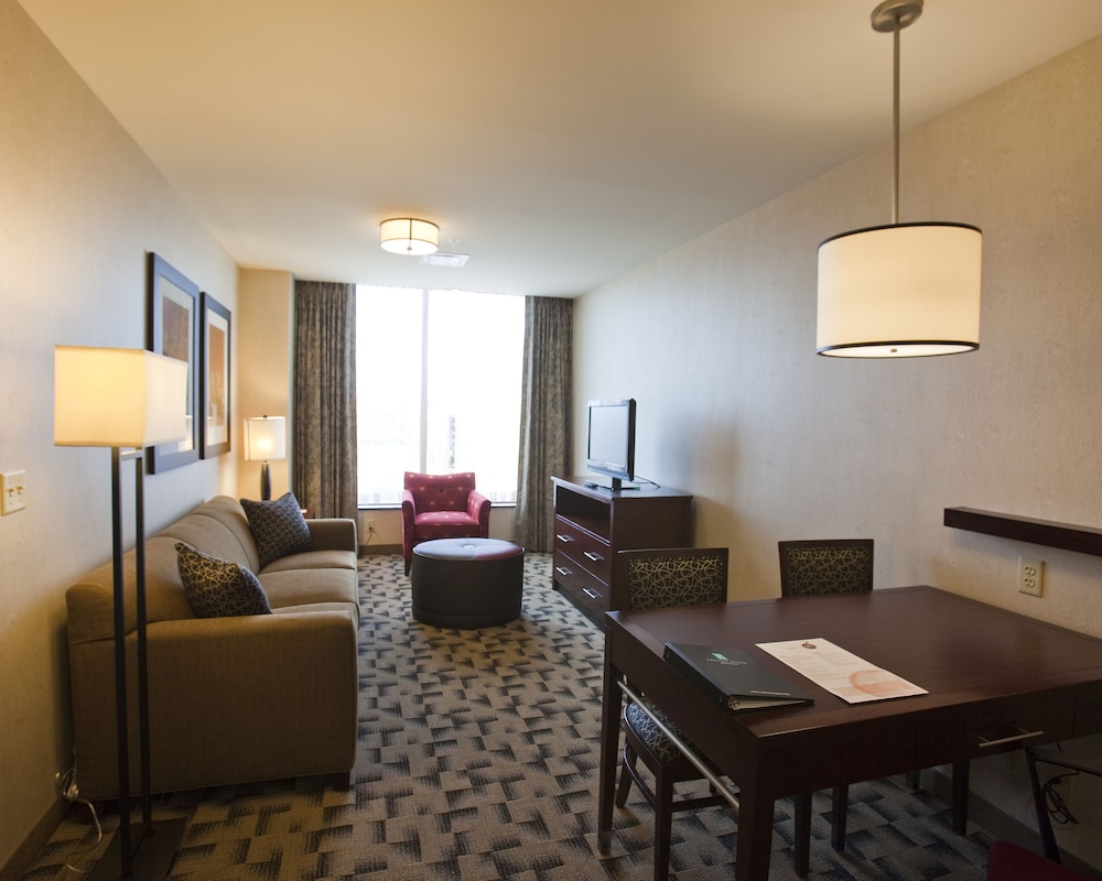 Embassy Suites Buffalo - photo 7
