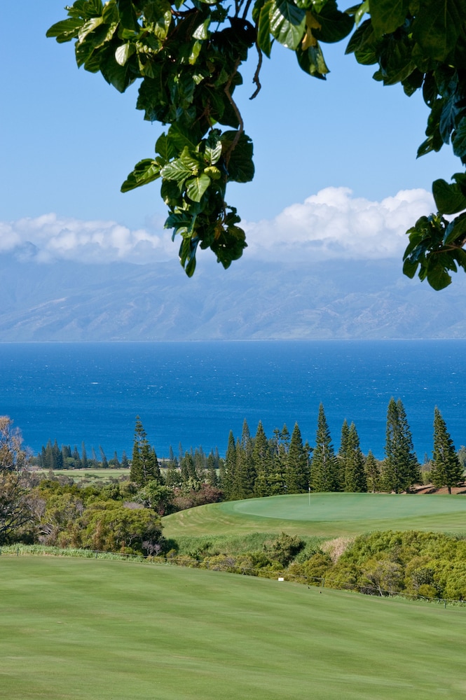 The Mauian Boutique Beach Studios on Napili Bay - photo 18