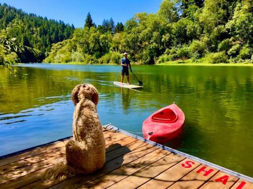 Boathouse 20733332 — Guerneville