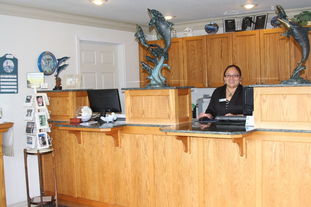 Emerald Dolphin Inn & Mini Golf - photo 2