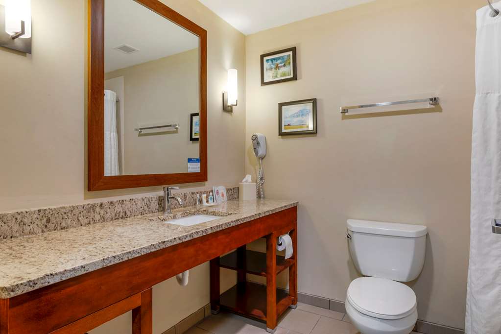 Comfort Suites Kingsport South - photo 13
