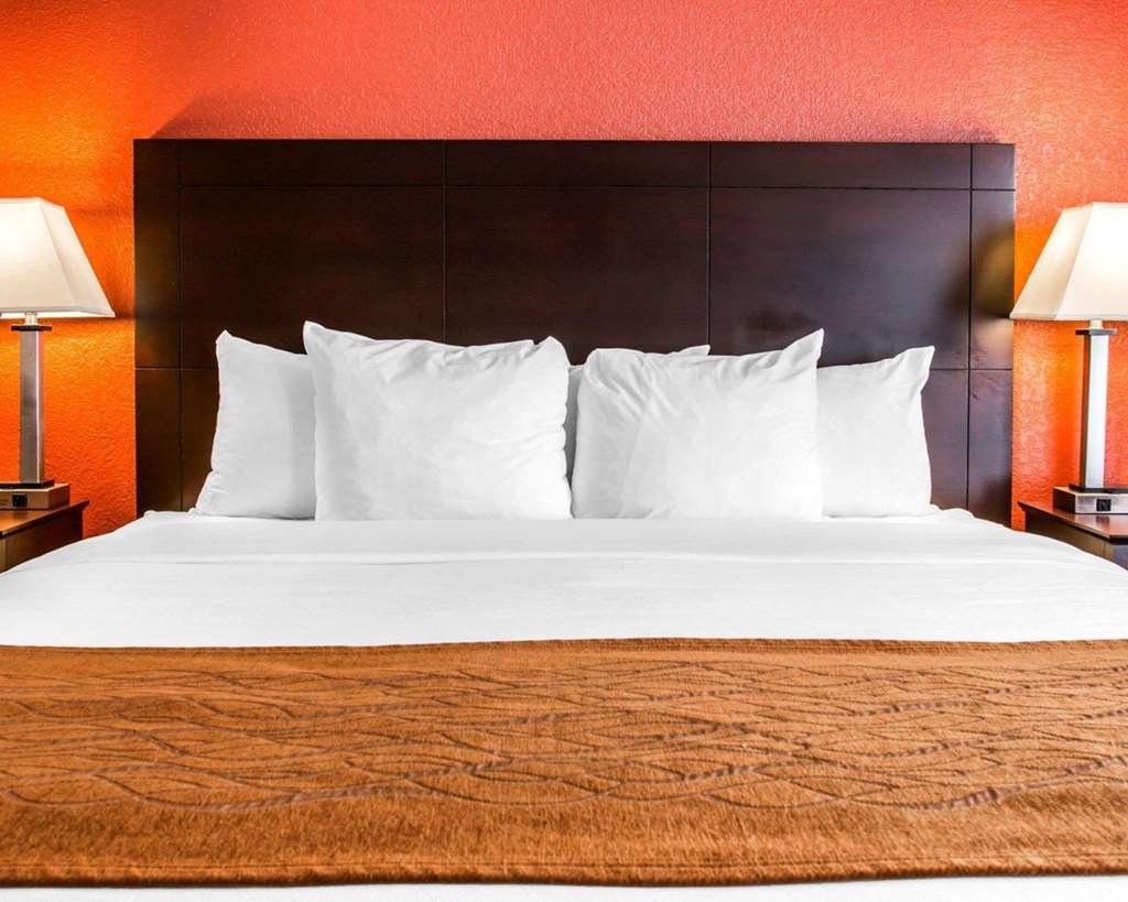Comfort Inn & Suites and Conference Center - photo 8