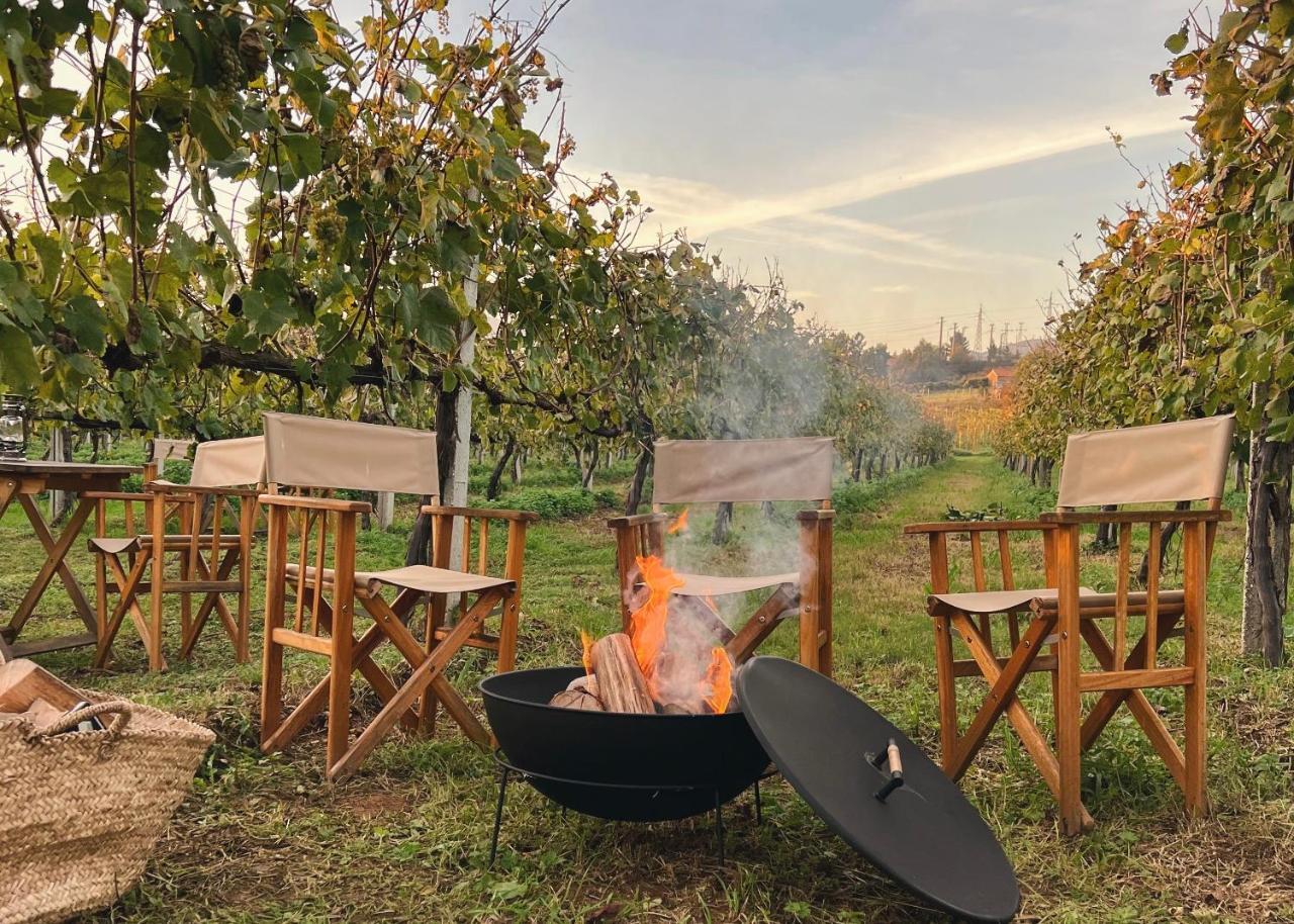 Vinha by NHôme in Ponte De Lima, Portugal