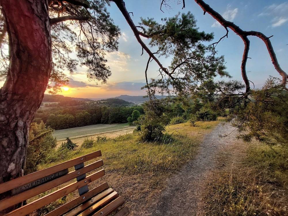 Land view from property