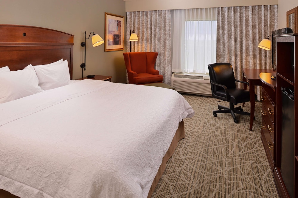 Hampton Inn by Hilton Litchfield - photo 14