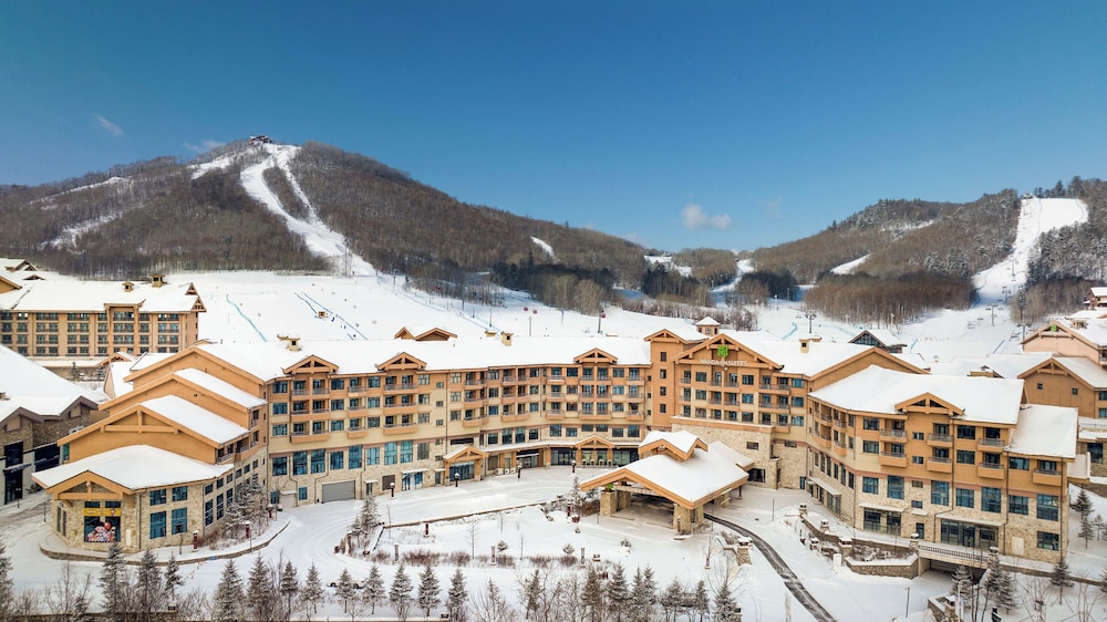 Wanda Jin Suites Changbaishan — hotel in Fusong