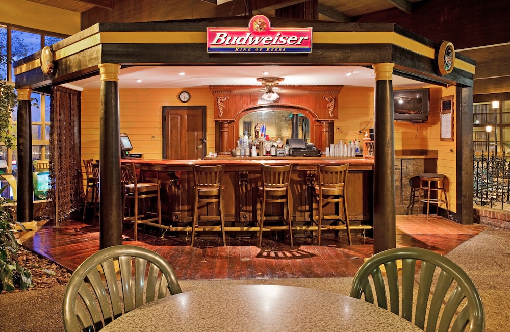 Holiday Inn St. Louis West Six Flags by IHG - photo 29
