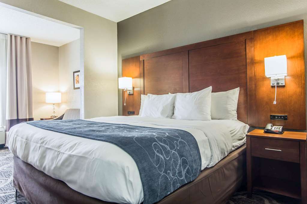 Comfort Suites Pineville Ballantyne Area - photo 17
