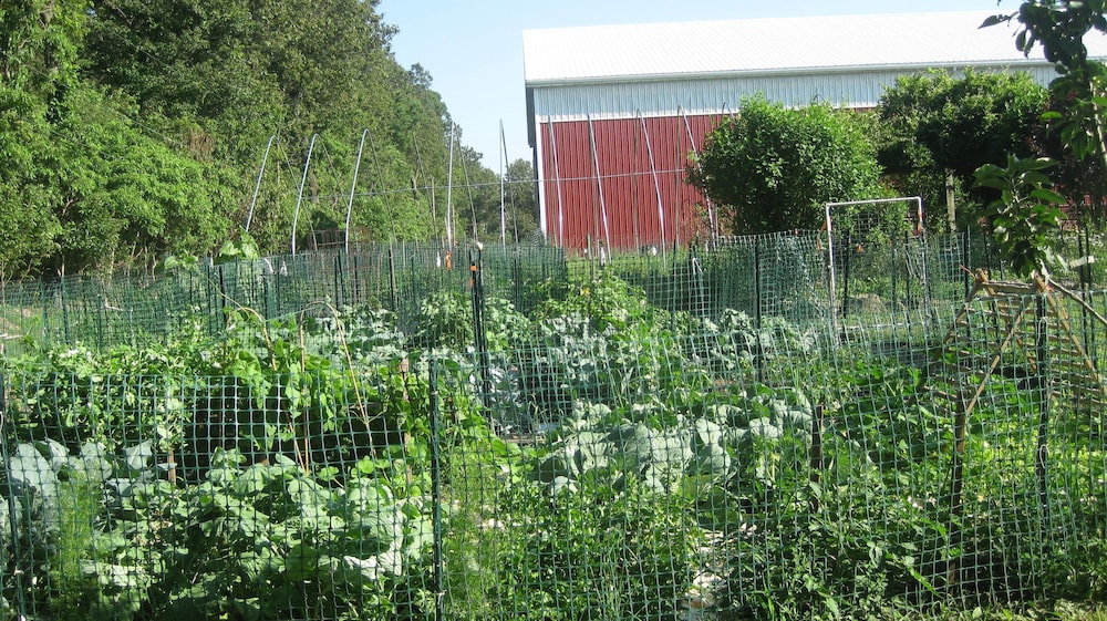Flint Hill Farm AG - photo 35
