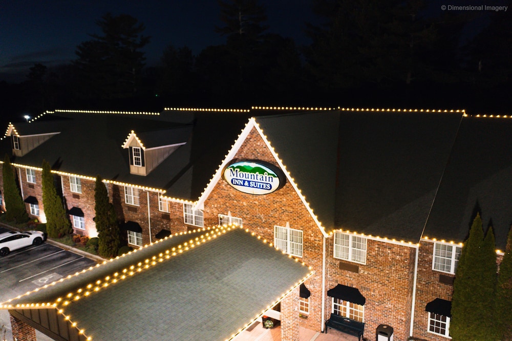 Mountain Inn & Suites - photo 28