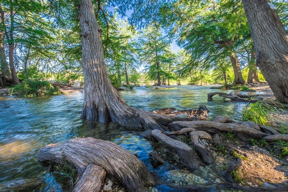 River Bluff Cabins — Leakey — photo 4