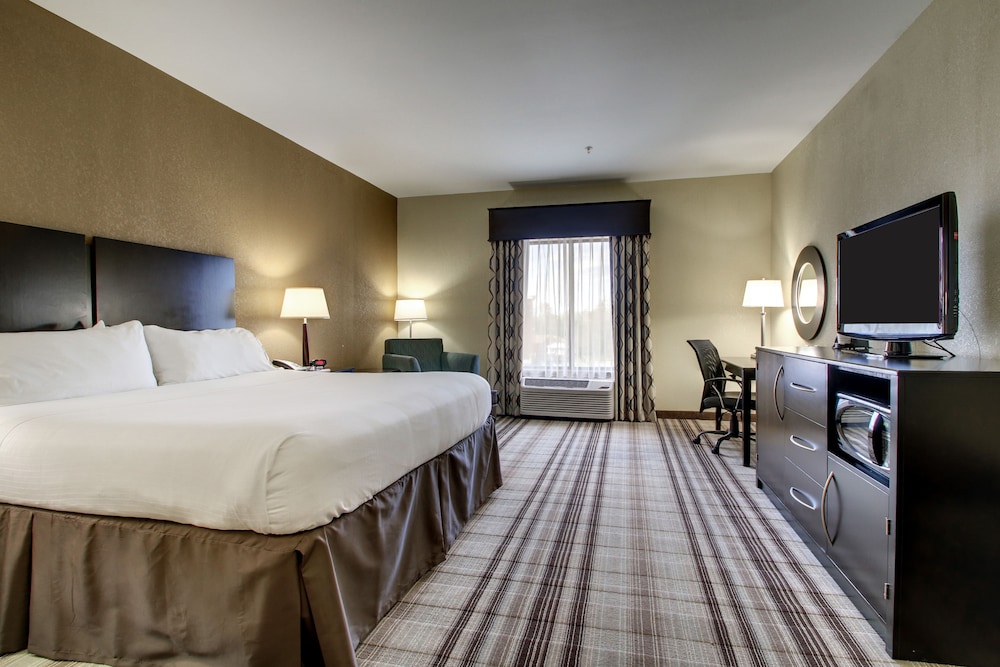 Holiday Inn Express Hotel & Suites Natchez South by IHG - photo 12