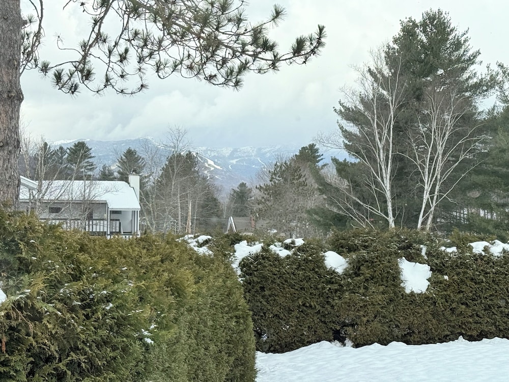 Stowe Motel & Snowdrift - photo 9