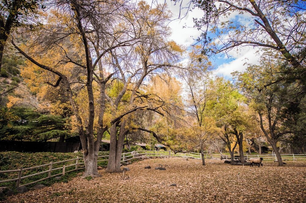 Briar Patch Inn in Sedona, United States