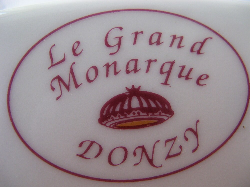 Hotel Restaurant le grand monarque pet-friendly hotel Donzy