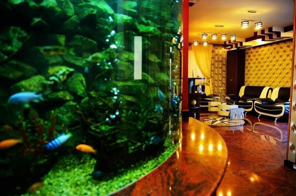 Vila Hd — 4-Star Luxury Hotel in Hunedoara, Romania