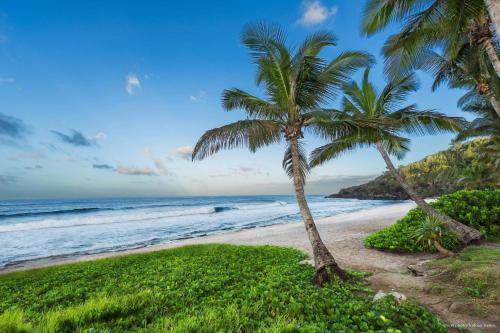 T2 Cosy a 100m de la plage Saint Pierre Luma Appart — Saint-Pierre — photo 4