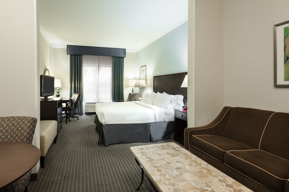 Holiday Inn Express Hotel & Suites New Iberia Avery Island by IHG - photo 8