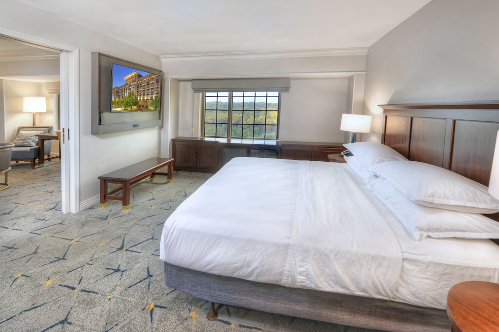 Sheraton Baltimore Washington Airport Hotel BWI - photo 8