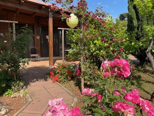 Chalet Mimosa — 4-Star Luxury Hotel in Itri, Italy