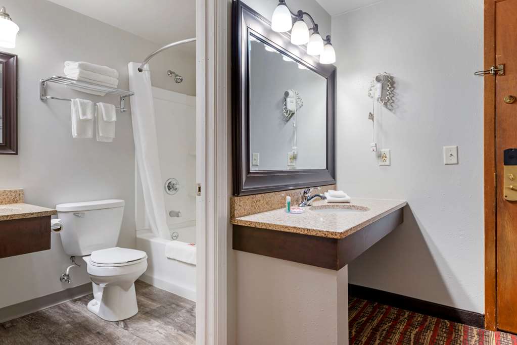 Econo Lodge Lakeview - photo 11