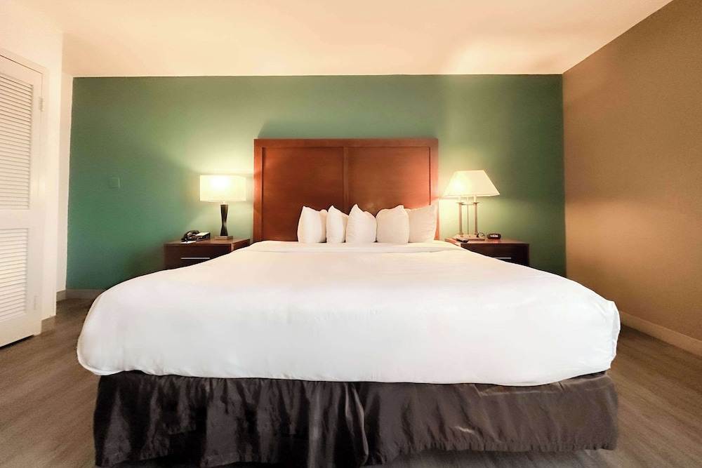 The Adventure Hotel by the parks - photo 21