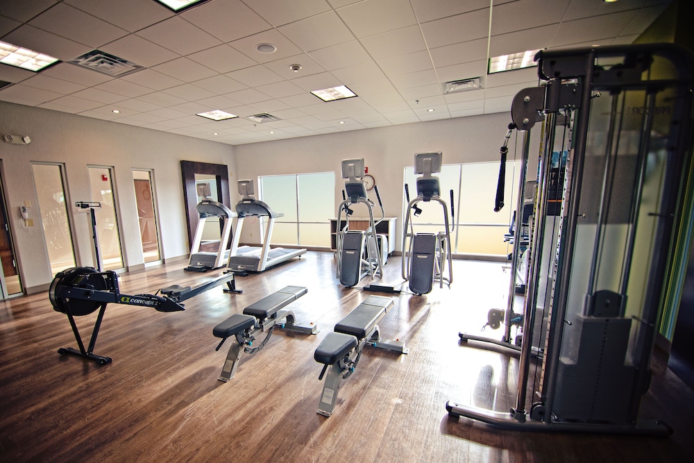 Holiday Inn Express & Suites Edinburg McAllen Area by IHG - photo 18