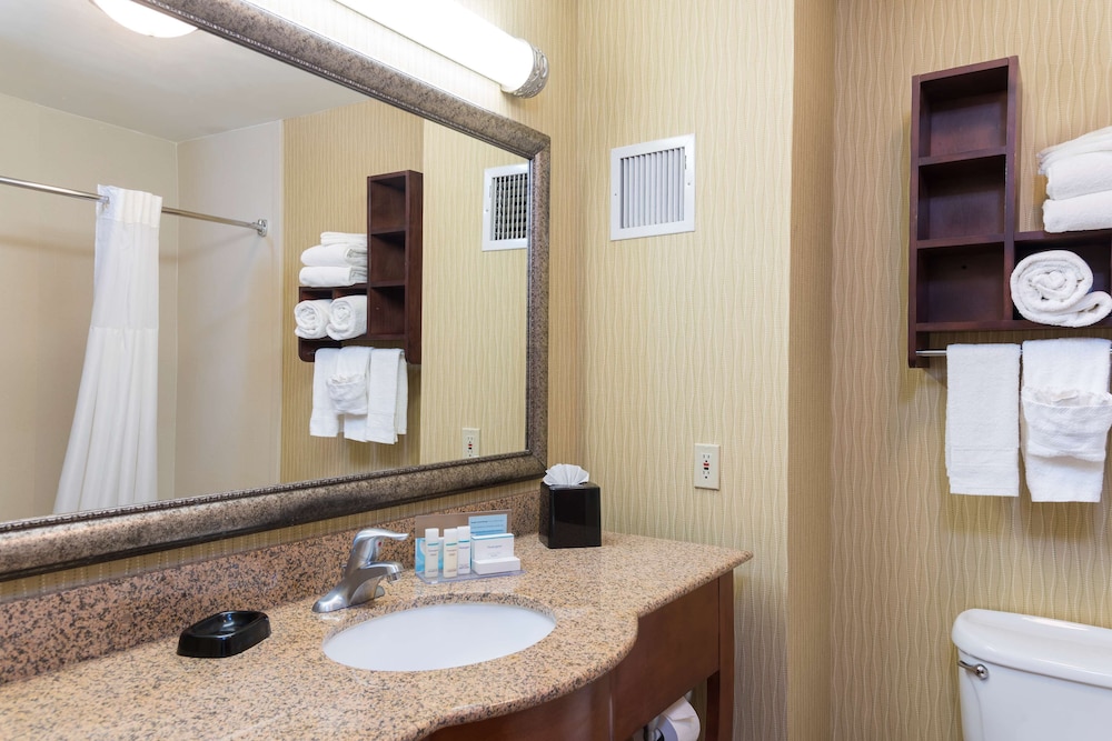 Hampton Inn East Lansing - photo 25