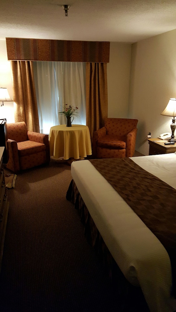 Americourt Hotel - photo 13