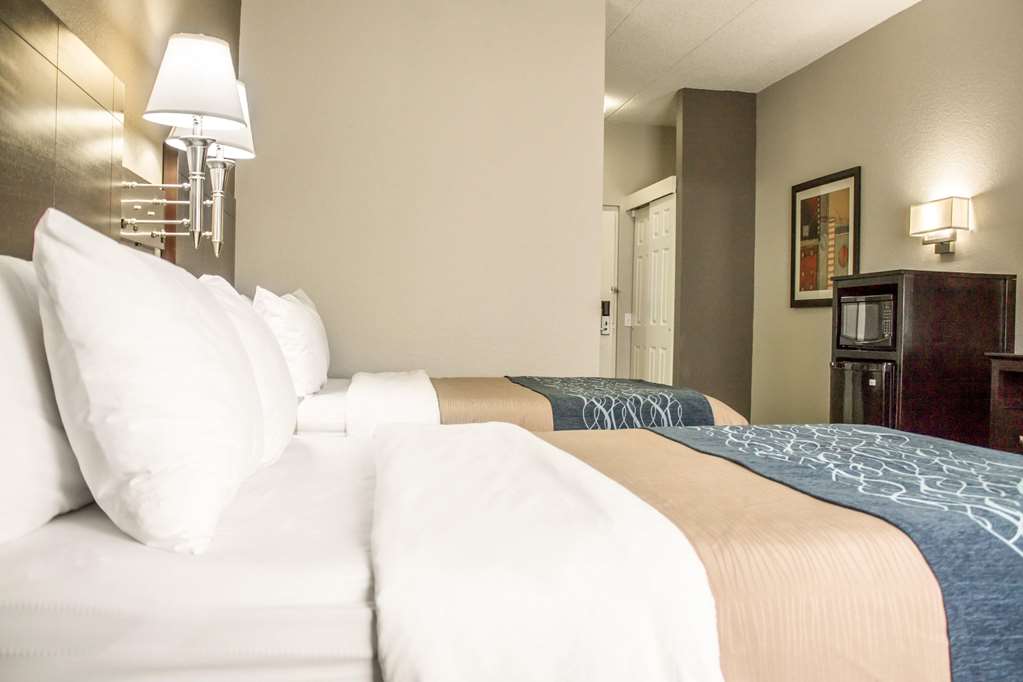 Comfort Inn Sandusky - photo 23