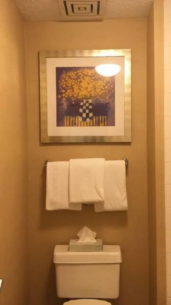 Howard Johnson by Wyndham Merrillville - photo 29
