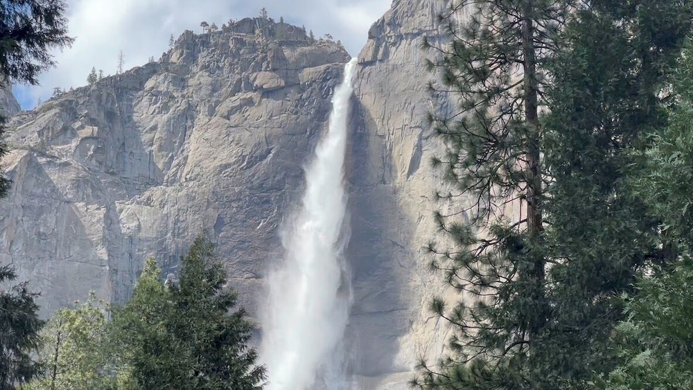 Yosemite Bug Rustic Mountain Resort - photo 87