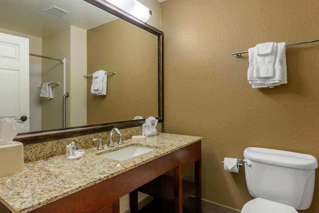 Comfort Suites The Villages - photo 4
