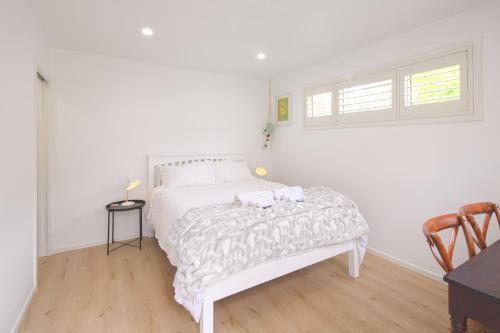 Seymour Sleeps in Nelson, New Zealand