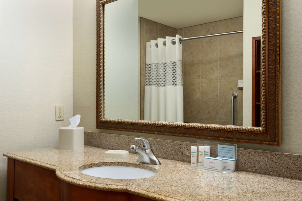 Hampton Inn & Suites Pharr - photo 10