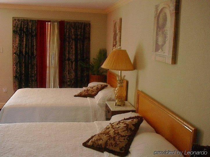 The B Inn - photo 4