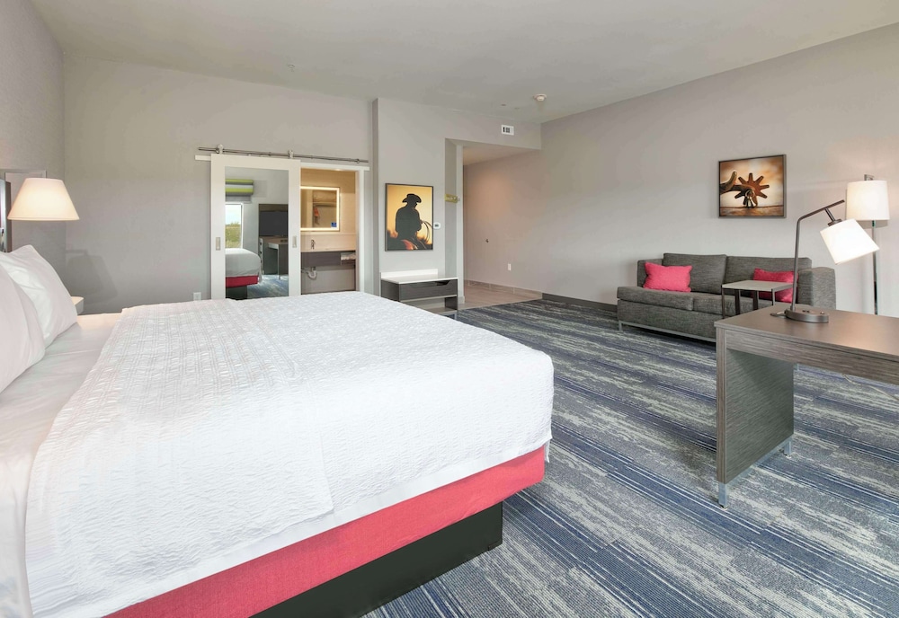 Hampton Inn & Suites by Hilton Dalhart - photo 11
