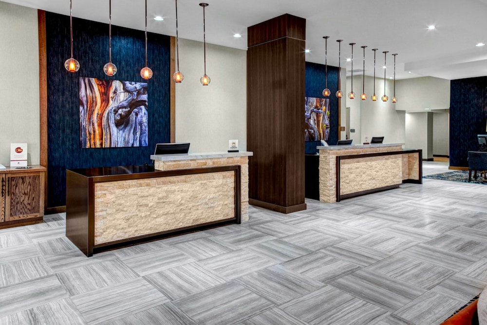 DoubleTree by Hilton Hotel Arlington DFW South - photo 3