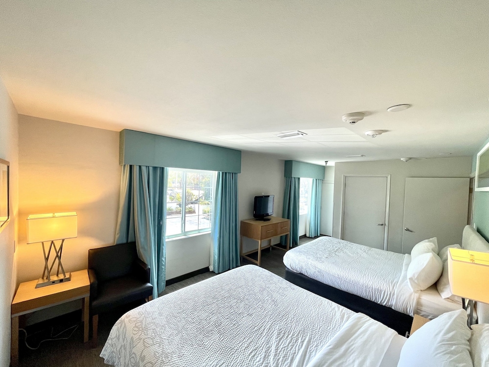 Red Roof Inn PLUS & Suites Tampa - photo 11