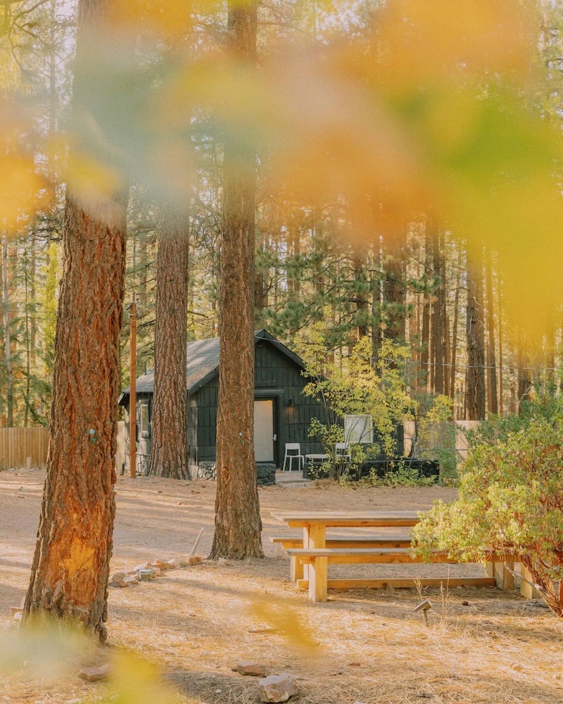 Colorado Lodge - photo 113