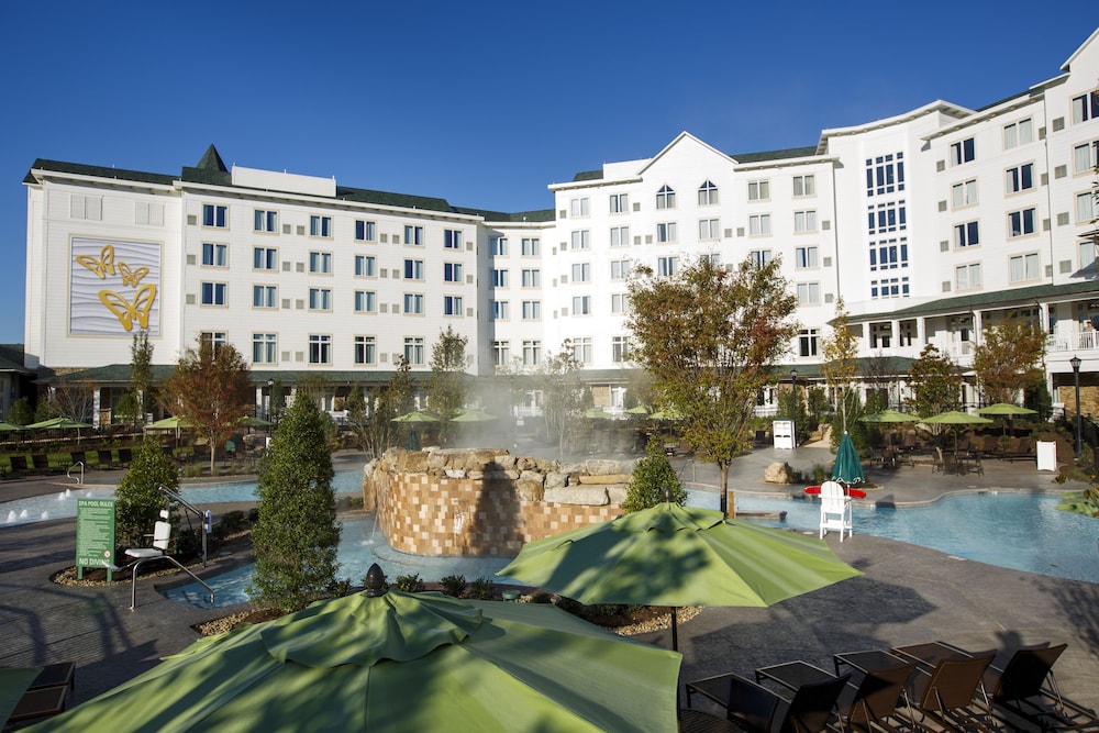 Dollywood's DreamMore Resort - photo 36