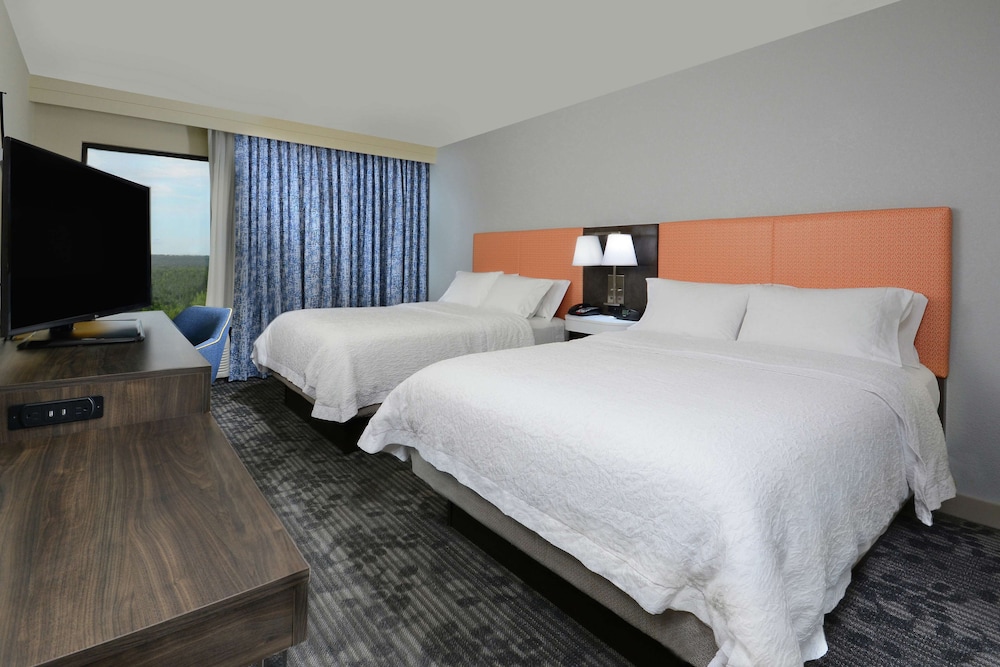 Hampton Inn & Suites Greenville Spartanburg I 85 SC - photo 20