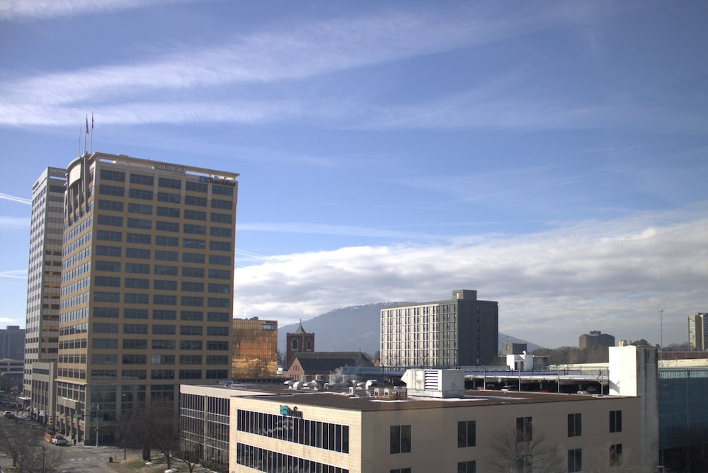 Holiday Inn Hotel & Suites Chattanooga Downtown by IHG - photo 65