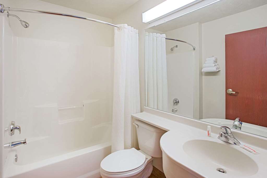 Microtel Inn & Suites by Wyndham Holland - photo 9