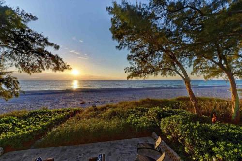 Wine Down — Holmes Beach — photo 5