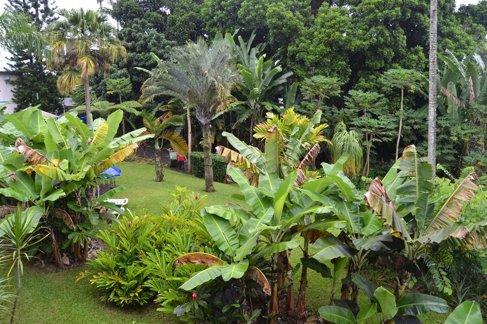Wild Ginger Inn Hotel - photo 36