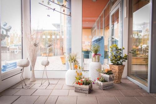 UckerWelle — hotel in Prenzlau