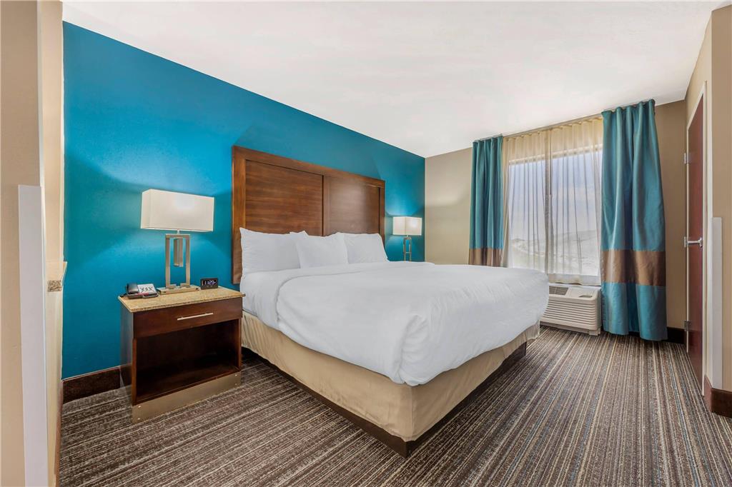 Comfort Suites Las Cruces I 25 North - photo 19