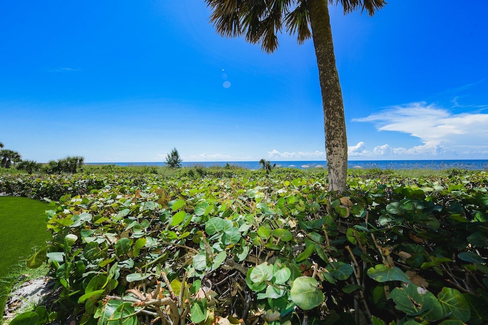 Casey Key Resorts Beachfront - photo 86