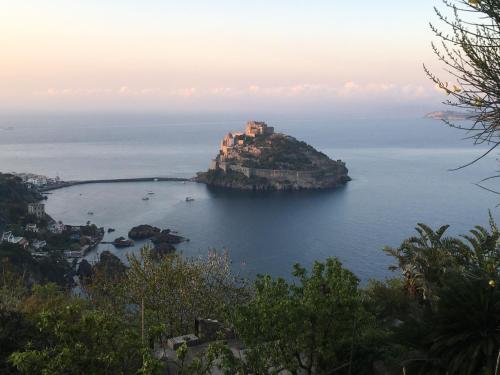 Panoramic villa in the nature of Ischia — 4-Star Luxury Hotel in Ischia, Italy